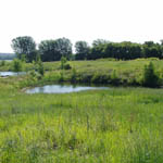 Belview, MN After